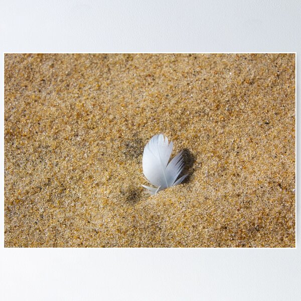 Item preview, Ocean City Seagull Sand Art designed and sold by Joy Goldman.