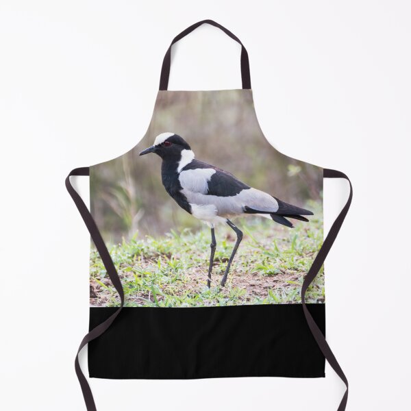 Item preview, Blacksmith Plover - Krüger National Park, South Africa designed and sold by holgermader.