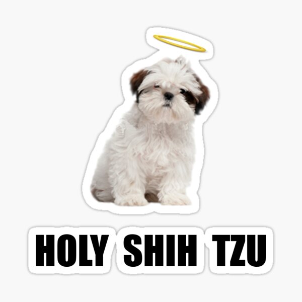 Holy Shih Tzu Sticker