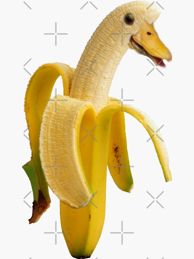 "Banana duck" Sticker for Sale by Tamrizk Redbubble