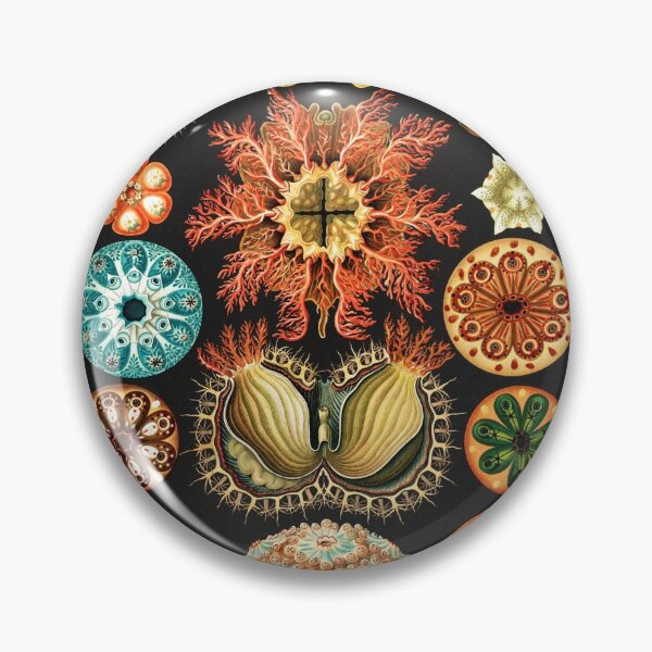 Item preview, Artforms in Nature by Ernst Haeckel designed and sold by Freewheeling.