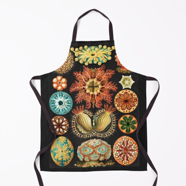 Item preview, Artforms in Nature by Ernst Haeckel designed and sold by Freewheeling.