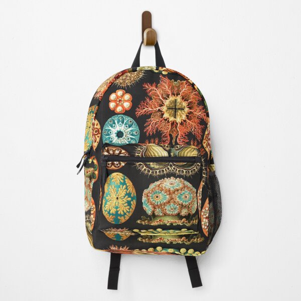 Item preview, Artforms in Nature by Ernst Haeckel designed and sold by Freewheeling.
