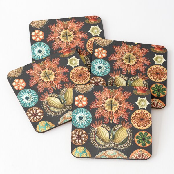 Item preview, Artforms in Nature by Ernst Haeckel designed and sold by Freewheeling.