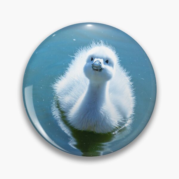 Item preview, I am cute look at me  designed and sold by Dalyndigital Photography.