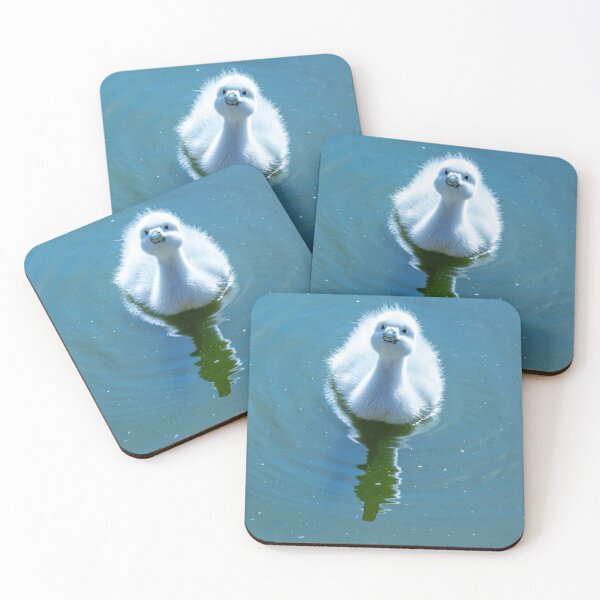 Item preview, I am cute look at me  designed and sold by Dalyndigital Photography.