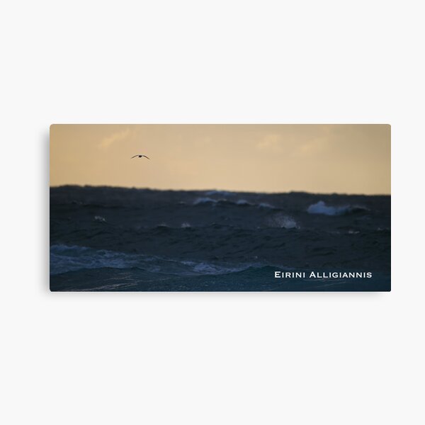 Free Canvas Print