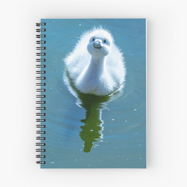 Item preview, I am cute look at me  designed and sold by Dalyndigital Photography.