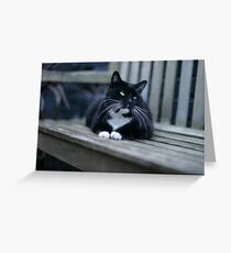 The Magnificats Rocky Card #2 Greeting Card