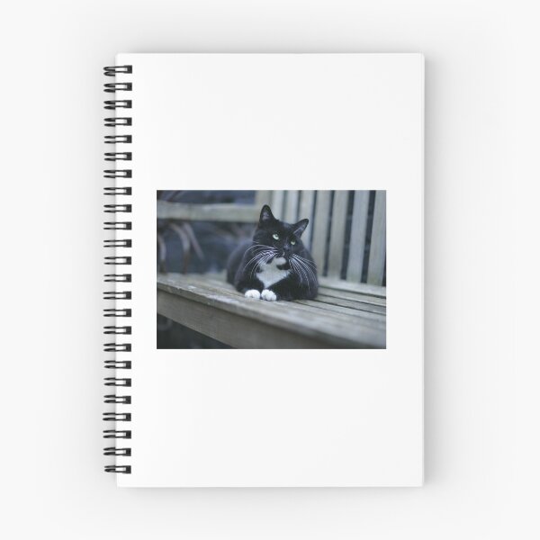 Item preview, The Magnificats Rocky Card #2 designed and sold by The  Magnificats.
