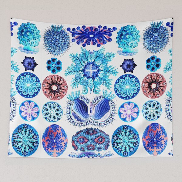 Item preview, Artforms in Nature by Ernst Haeckel designed and sold by Freewheeling.