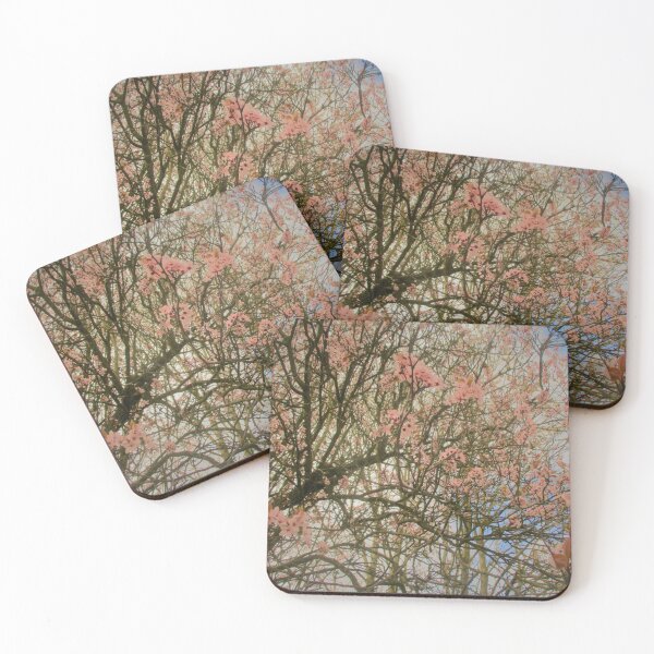 Item preview, Cherry Blossom in the Spring designed and sold by realdorypanda.
