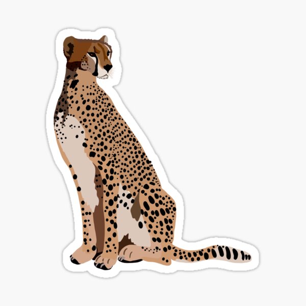  C is for Cheetah Sticker