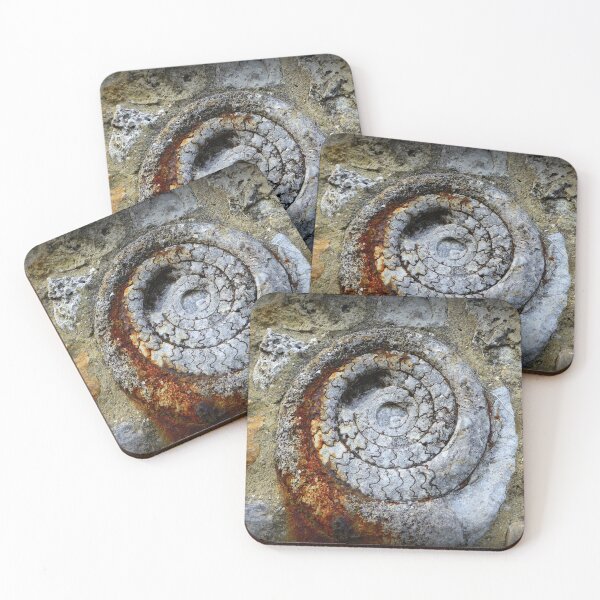 Item preview, Jurassic Fossil in Lyme Regis designed and sold by Vaengi.