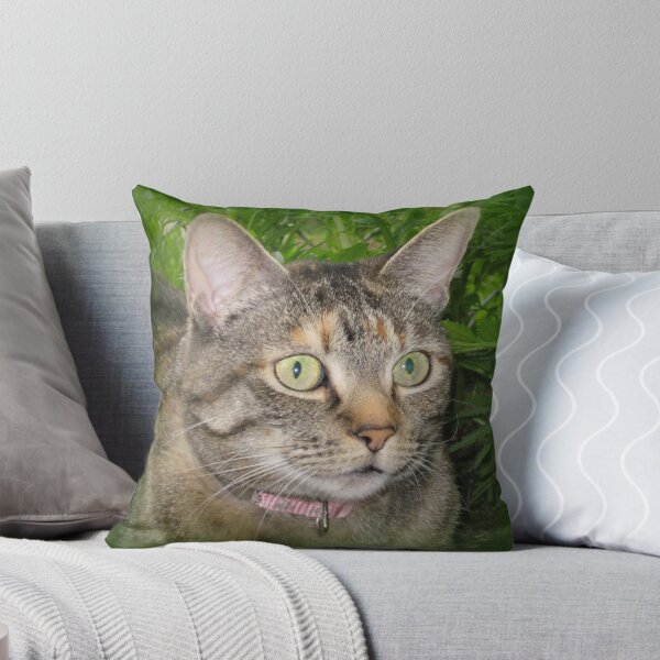 Item preview, Allie Cat designed and sold by jhell2.