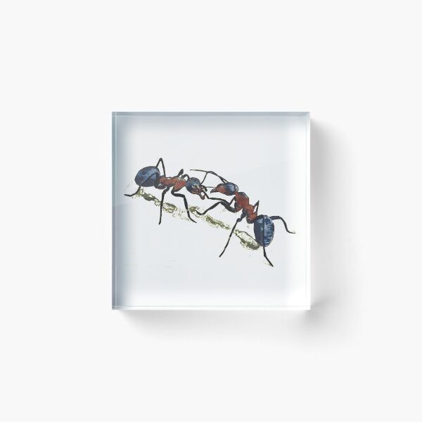 Item preview, Two ants forest anthill evolution community spirit designed and sold by G-M-Designs.