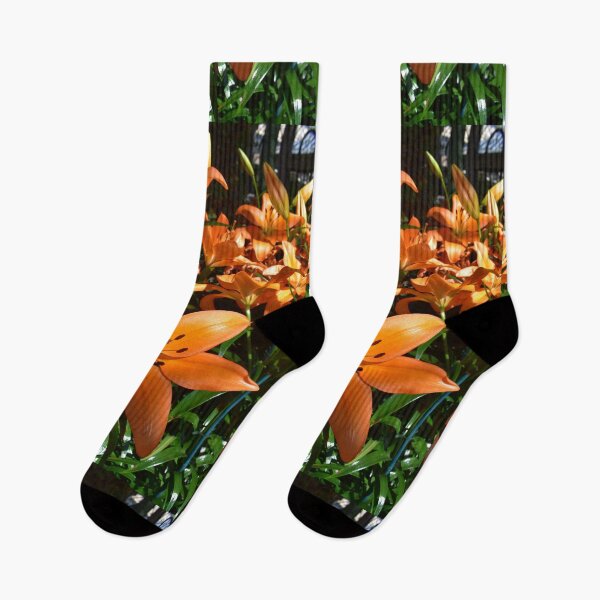 Item preview, Orange Lily Flowers Blooming under the Sunlight at Longwood Gardens designed and sold by Lara-vez.