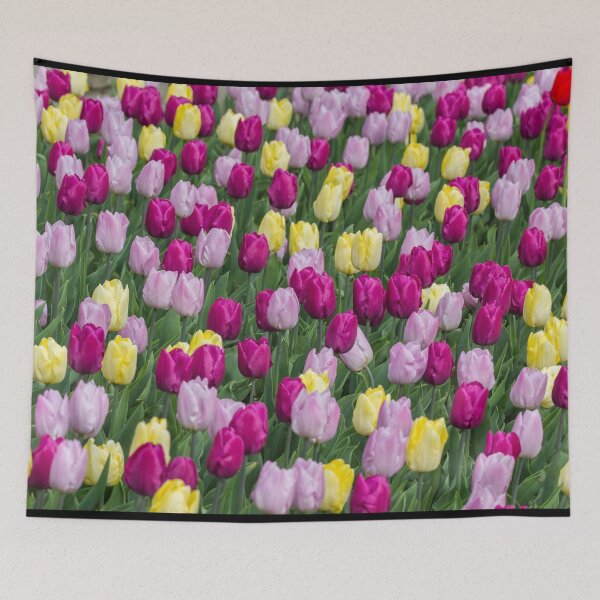 Item preview, Solely Tulips, Meersburg - Lake Constance designed and sold by holgermader.
