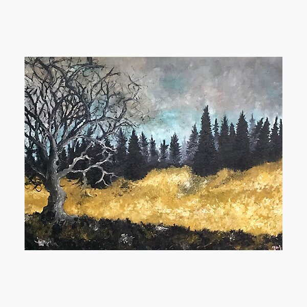 quiet Photographic Print