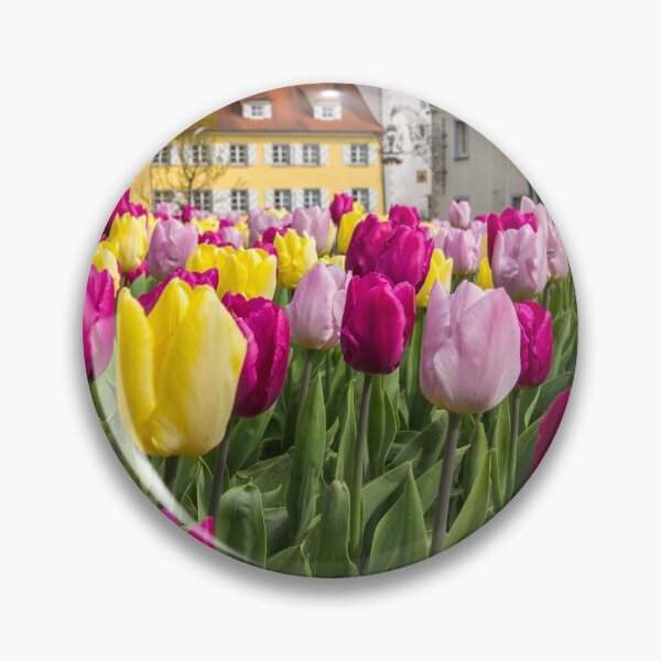 Item preview, Tulips in Meersburg - Lake Constance designed and sold by holgermader.