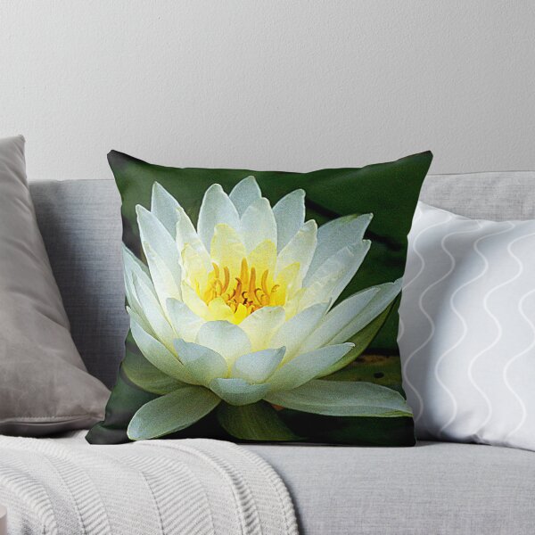 Item preview, Water Lily.. designed and sold by FotoBloke.