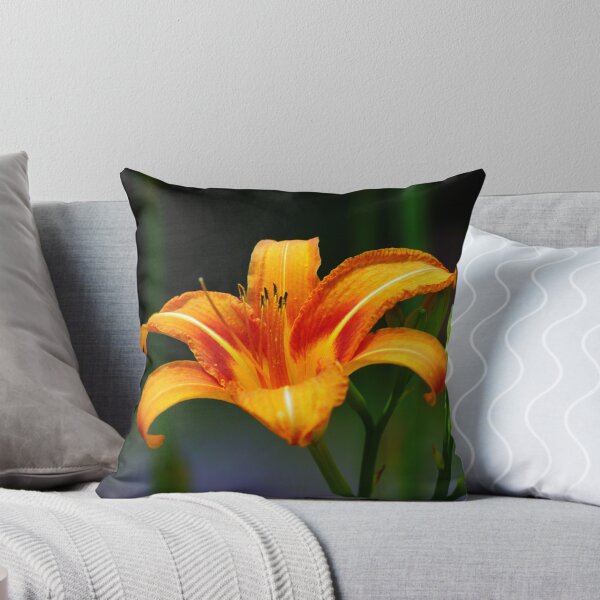 Item preview, Golden Daylily.. designed and sold by FotoBloke.