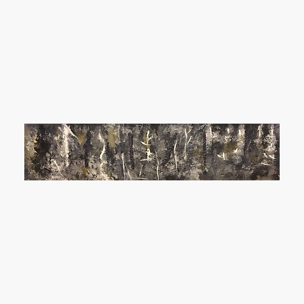 broken tree line Photographic Print