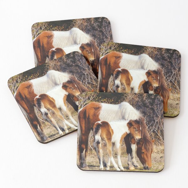 Item preview, Assateague Ponies: Mother and Foal designed and sold by Joy Goldman.