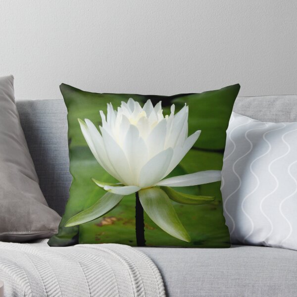 Item preview, water lily, opening.. designed and sold by FotoBloke.