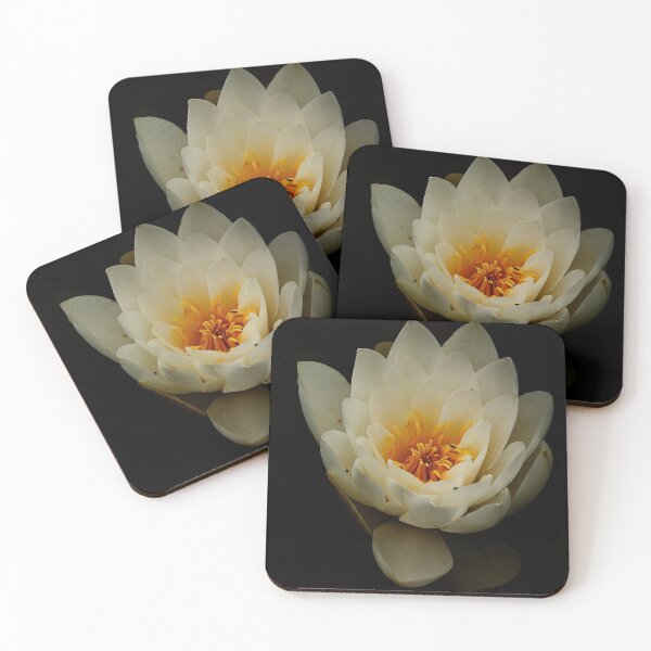 Item preview, White waterlily in dark background designed and sold by Esther  Moliné.