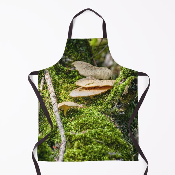 Item preview, Mushrums on a Tree, Eriskircher Ried, Lake Constance designed and sold by holgermader.