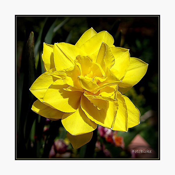 Item preview, Variations on a theme.. designed and sold by FotoBloke.