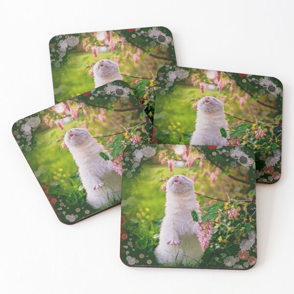 Item preview, White Albino Ferret Spring designed and sold by PurpleBluesPets.