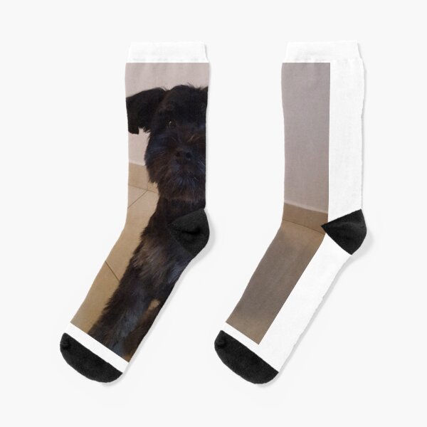 Artikel-Vorschau von Netter Hund (Havaneser), designt und verkauft von magdajwgifts.