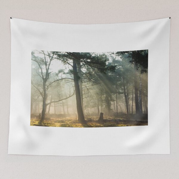 Item preview, When the morning light acts like a healer designed and sold by jchanders.