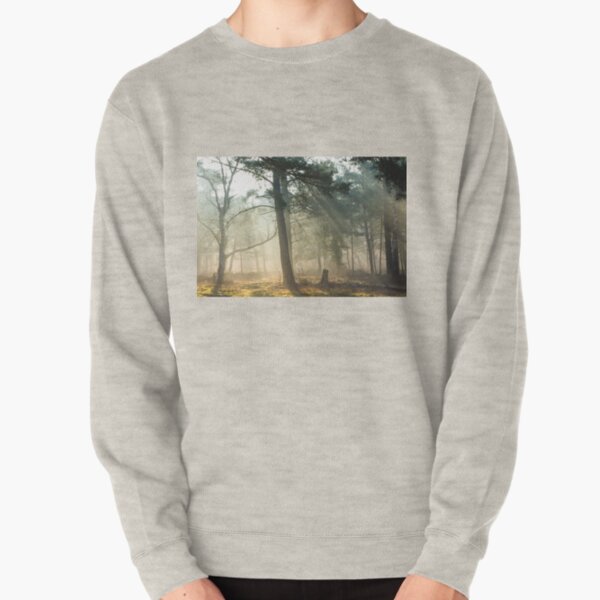 When the morning light acts like a healer Pullover Sweatshirt