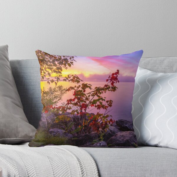 Artikelvorschau, Rocky Shore Sonnenaufgang, Cottage Dock, Sunrise Dock, Dock Sonnenaufgang, Sunrise Dock Szene, Metall Fotodrucke, Bild auf Metall, Metall Kunstdrucke, Metall Bilddrucke entworfen und verkauft von eyesight4vision.