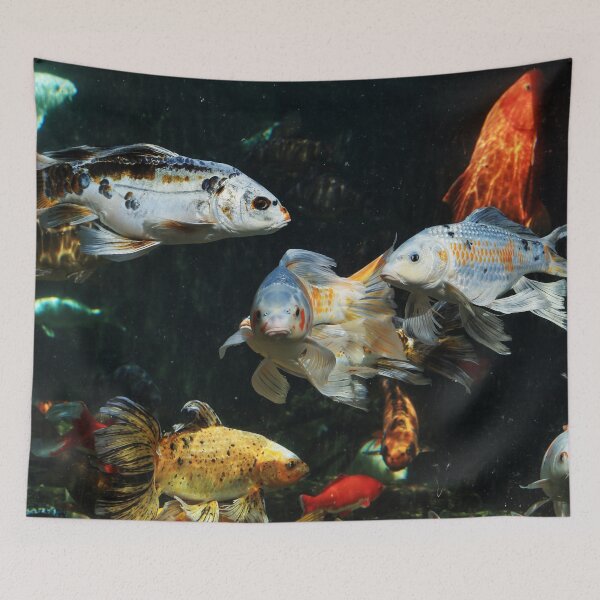Item preview, Koi Carp and Goldfish in Hands-on Pool in Besançon Citadel designed and sold by holgermader.
