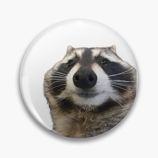 Item preview, Sad racoon designed and sold by DylanW21.