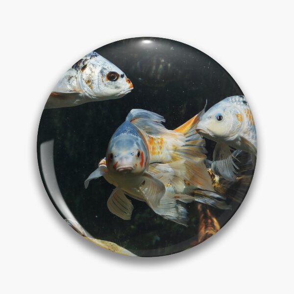Item preview, Koi Carp and Goldfish in Hands-on Pool in Besançon Citadel designed and sold by holgermader.