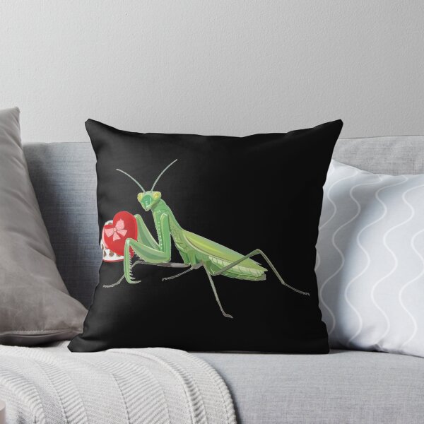 Item preview, Praying Mantis Valentine designed and sold by nickp1480.