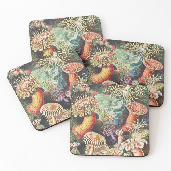 Item preview, Artforms in Nature - Actiniae Seeanemonen by Ernst Haeckel designed and sold by Freewheeling.