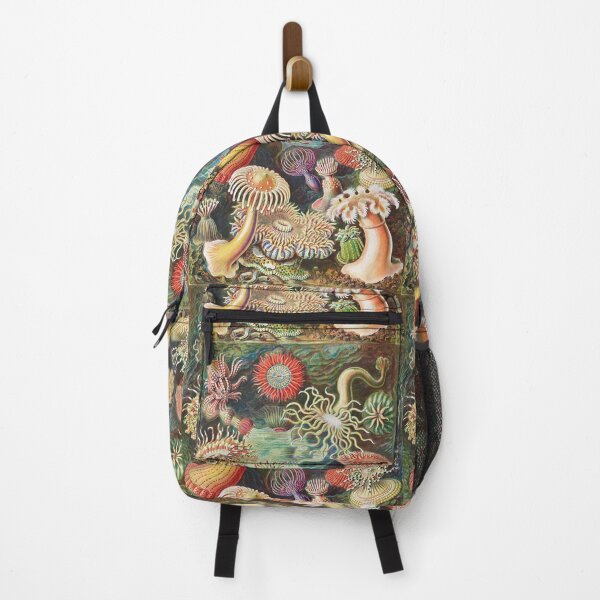 Item preview, Artforms in Nature - Actiniae Seeanemonen by Ernst Haeckel designed and sold by Freewheeling.