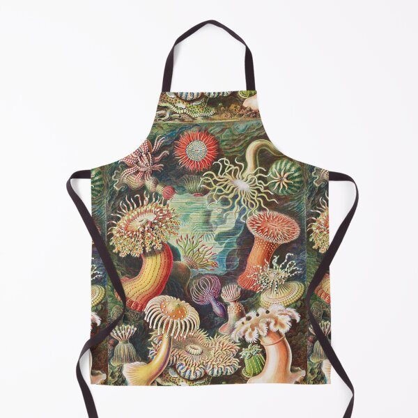 Item preview, Artforms in Nature - Actiniae Seeanemonen by Ernst Haeckel designed and sold by Freewheeling.