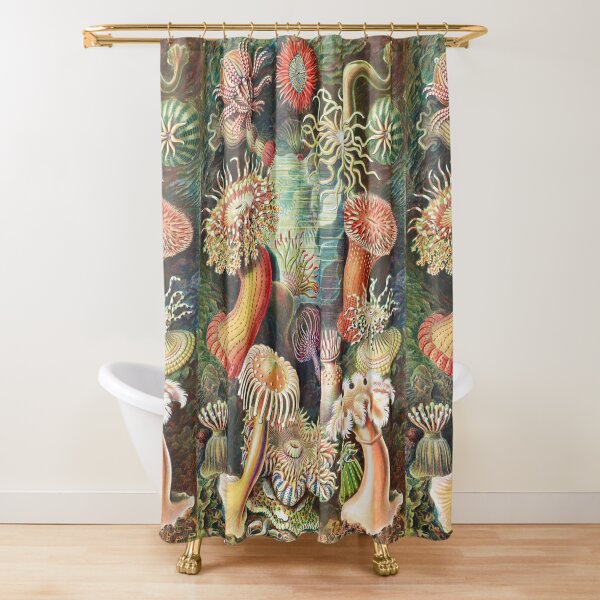 Artforms in Nature - Actiniae Seeanemonen by Ernst Haeckel Shower Curtain