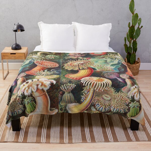 Item preview, Artforms in Nature - Actiniae Seeanemonen by Ernst Haeckel designed and sold by Freewheeling.