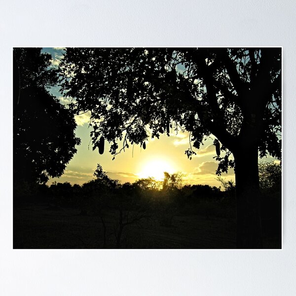 Item preview, Sunset Forest Silhouette Trees designed and sold by worldways.
