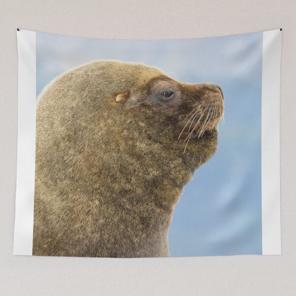 Item preview, Weddell Seal in Beagle Channel, Ushuaia - Argentina designed and sold by holgermader.