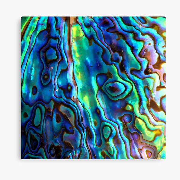 D Paua Shell Background Art Print Home Decor Wall Art Poster 