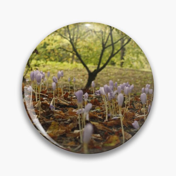 Item preview, Autumn crocus flowers designed and sold by Esther  Moliné.